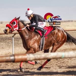 Meet your Posher, Jonny